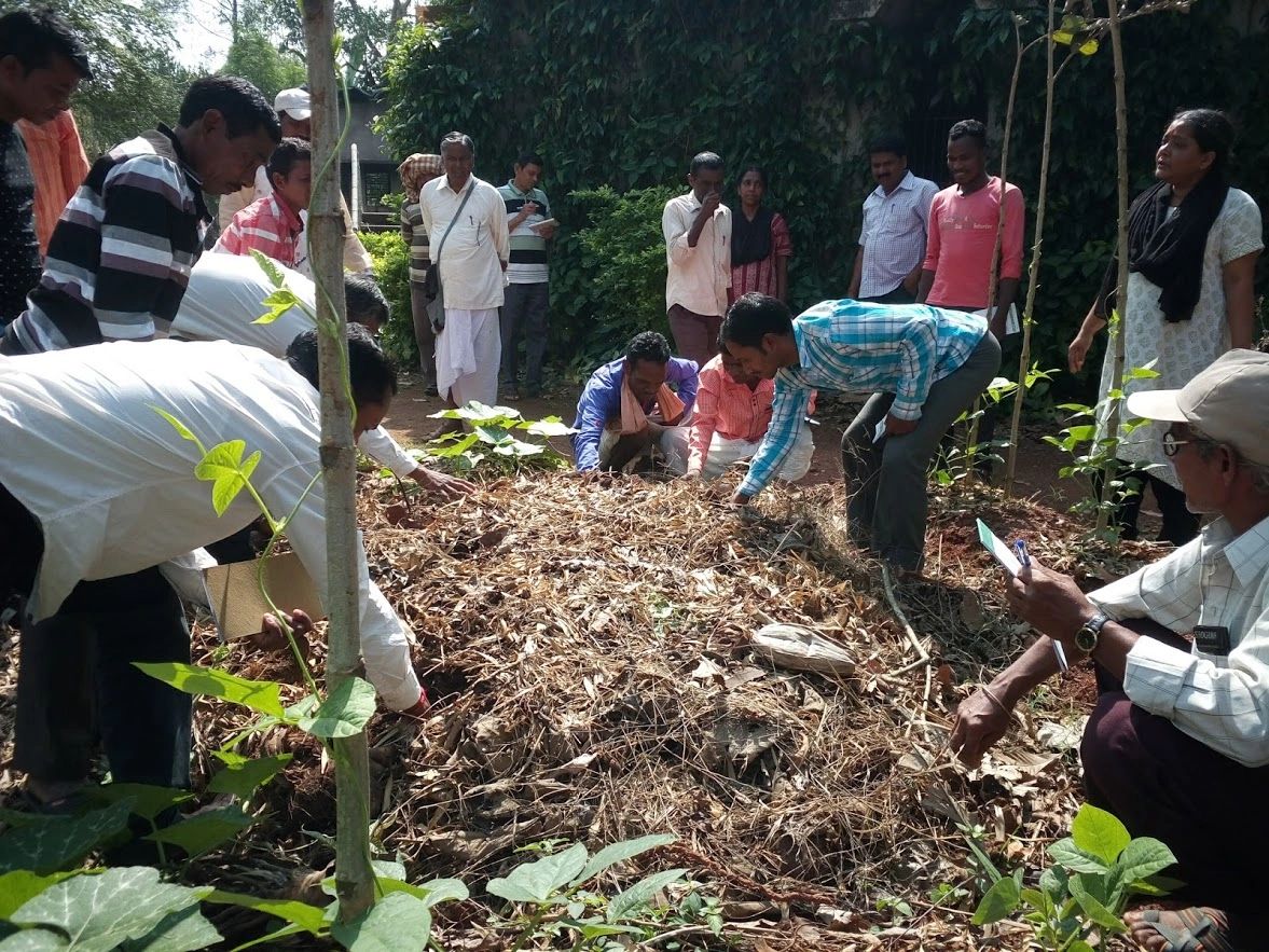 Sabarmatee Apa and her team giving training to farmers.