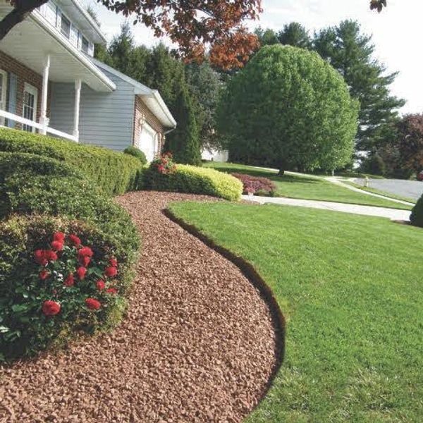 Well-maintained front yard with green lawn, bushes, and red flowers.