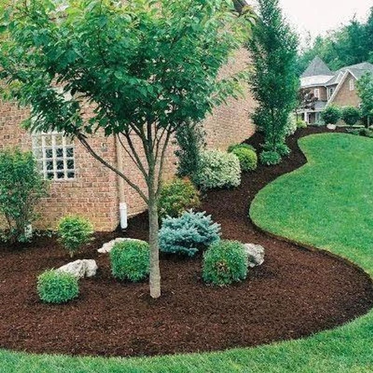 Neatly mulched garden bed with trees and shrubs beside a brick house.