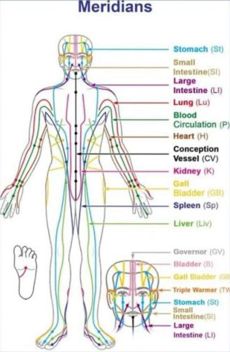 Diagram showing human body meridians related to organs.