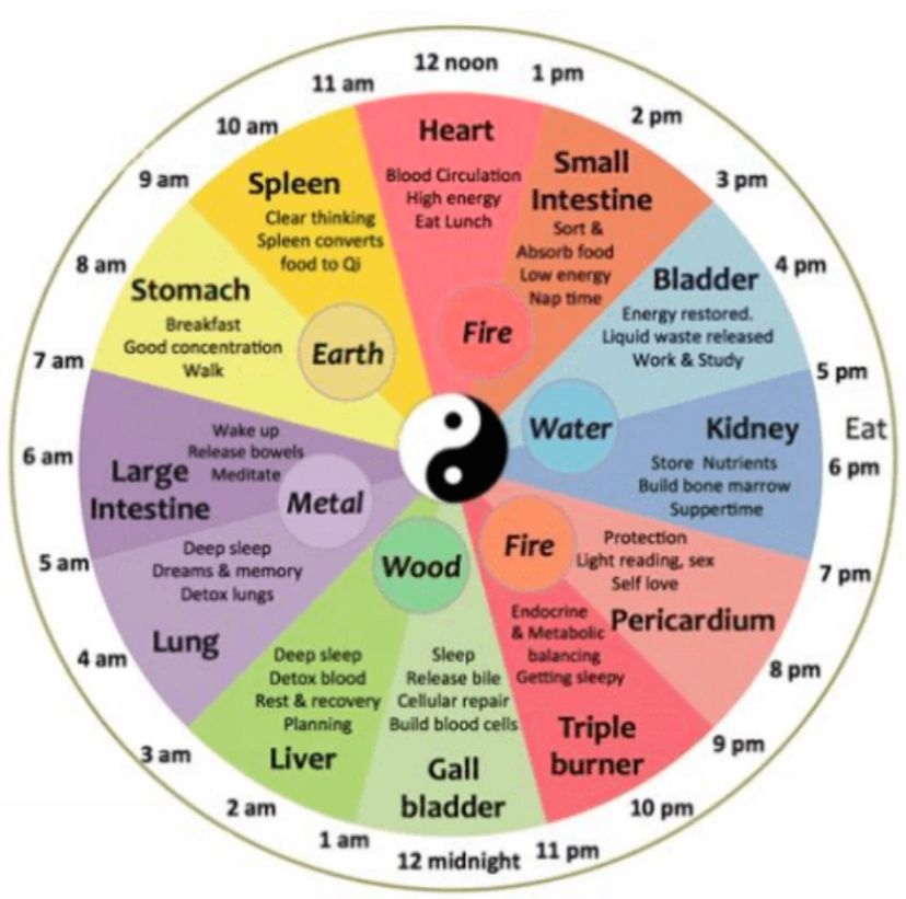 Traditional Chinese medicine body clock showing organs and corresponding times.