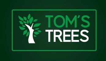 Toms Trees