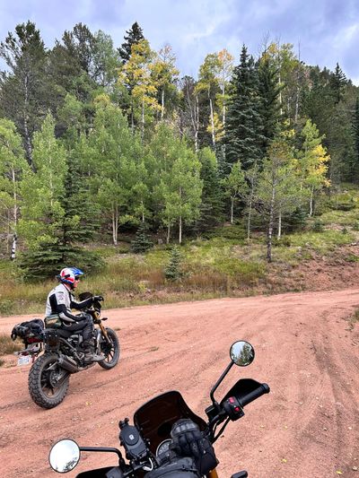 Union Jack Moto’s Triumph Scrambler 400s exploring Forest Roads off Gold Camp Ramp.