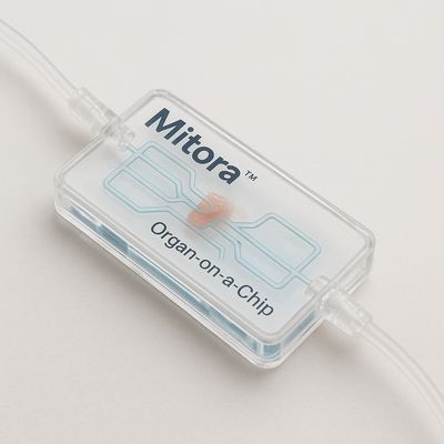 <img src="organ-on-a-chip-devices.jpg" alt="Organ-on-a-chip devices supplier">