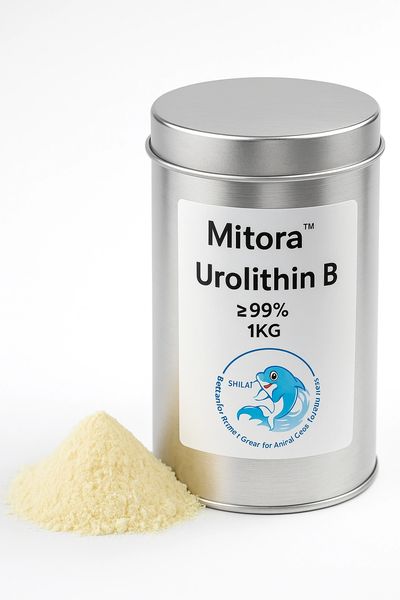 <img src="urolithin-b-banner.jpg" alt="Trusted Urolithin b supplier">