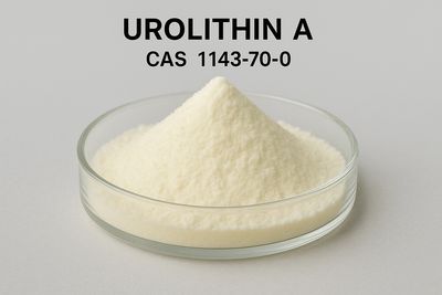 <img src="urolithin-a-cas1143-70-0.jpg" alt="Urolithin A CAS 1143-70-0 supplier">