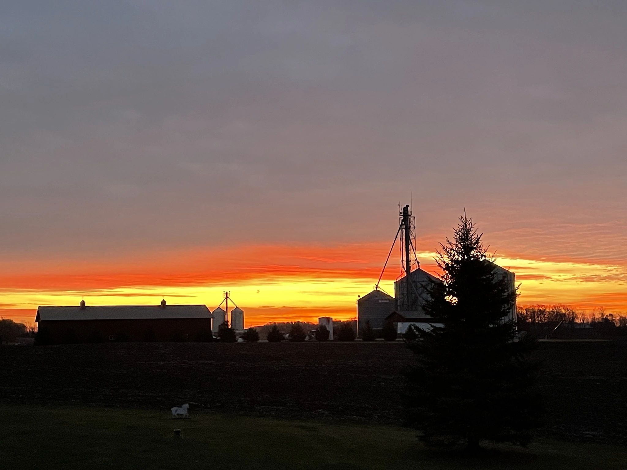 Greenwood Lane Farms