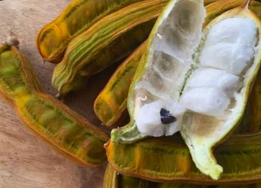 ice cream beans from Big Island arent just delicious