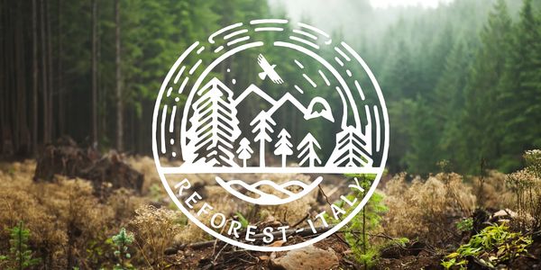 Logo con foresta e testo "Reforest Italy" su un paesaggio naturale.
