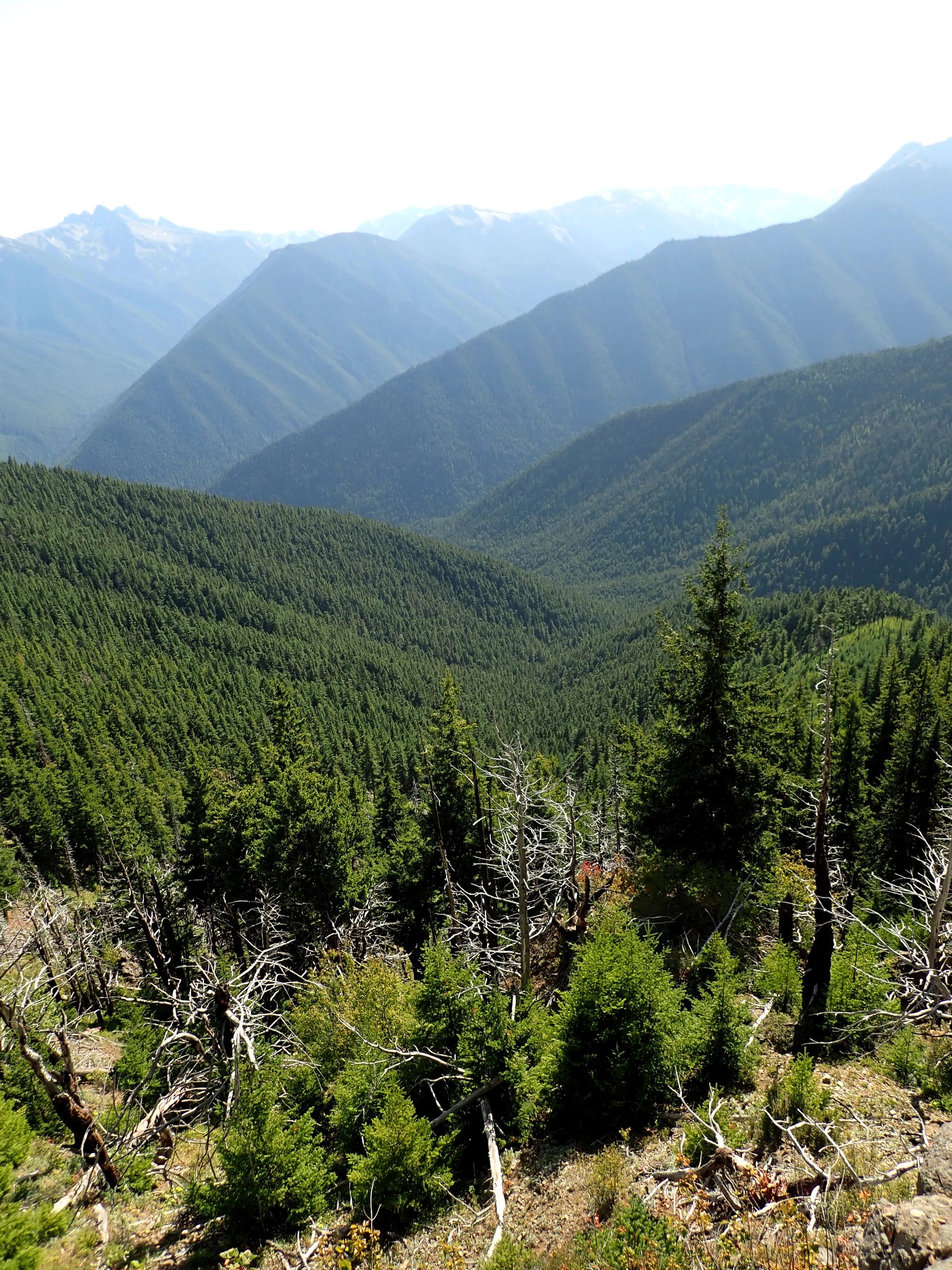 Olympic Map Company The Ultimate Map of the Olympic Peninsula