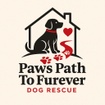 Paws Path to Furever
