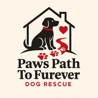 Paws Path to Furever