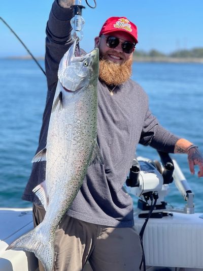 Chinook or King Salmon in Victoria BC on Kingsize Fishing Charters No need to go to Alaska