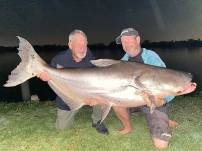 Two men proudly holding a massive fish by a lake at night.