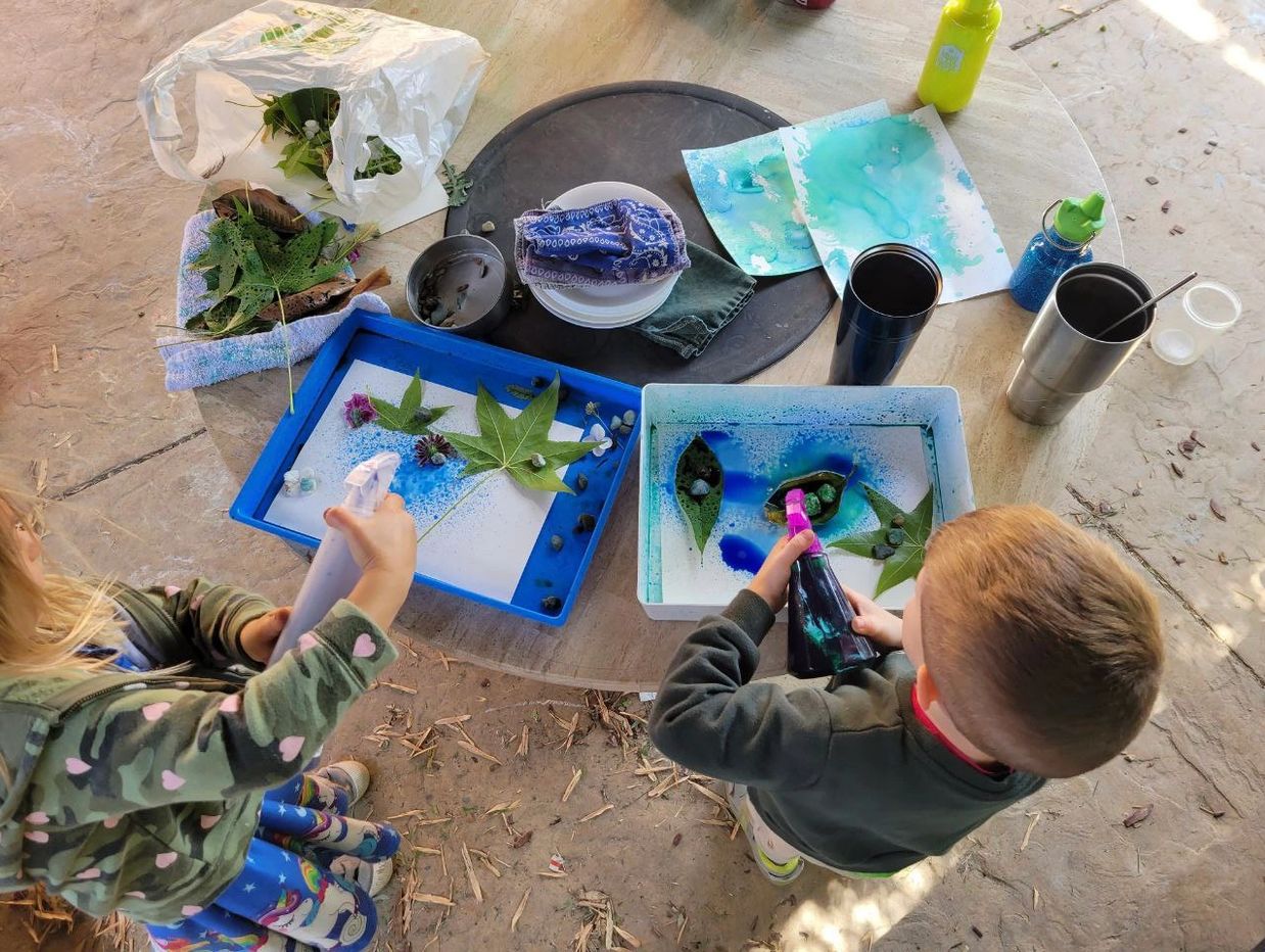 A nature walk to collect leaves and flowers, turned into art!