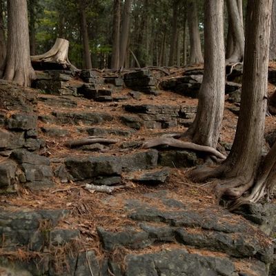 Picture Taken by: Daria Summers 