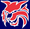 Tucson Wildcats