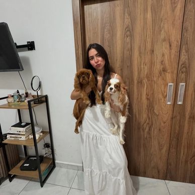 Cavalier Puppies for sale 
Male and female Cavalier Puppies for sale