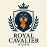 Royal Cavalier Pups
