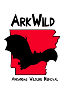 Arkansas Wildlife Removal