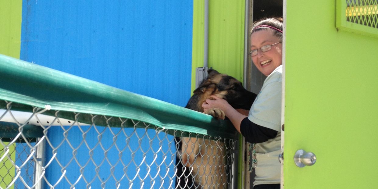 Woman happily interacting with a German Shepherd over a fence at a colorful kennel.