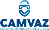 Soluciones en Seguros Automotrices