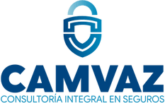 Soluciones en Seguros Automotrices
