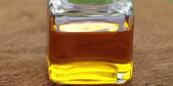 Insect Oil sourcing agent China, Taiwan, Southeast Asia: Vietnam, Thailand, Malaysia, Cambodia