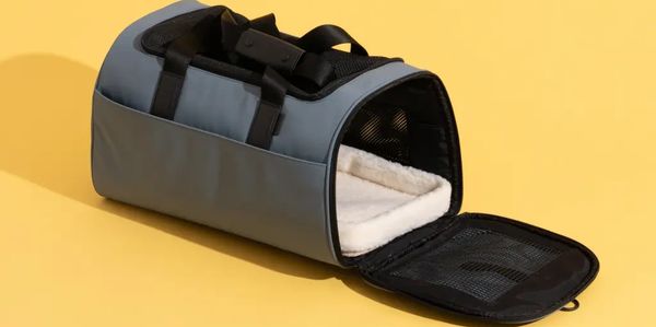 Pet carriers sourcing agent China, Taiwan, and Southeast Asia: Vietnam, Thailand, Malaysia, Cambodia