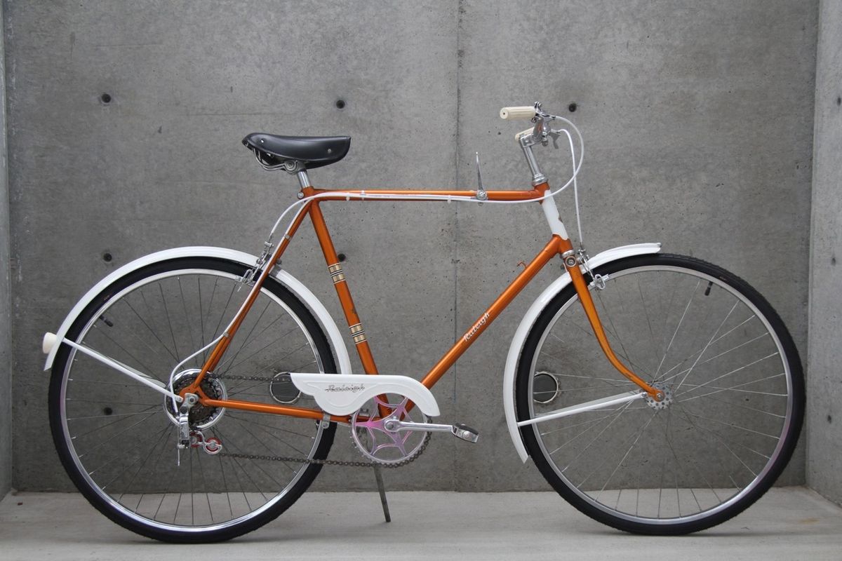 raleigh cruiser bike