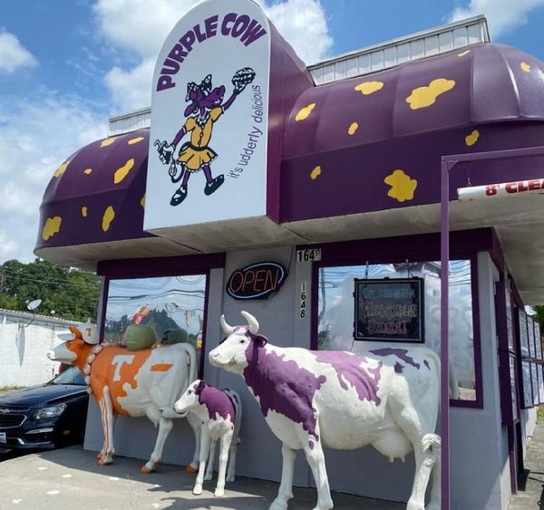 Purple Cow