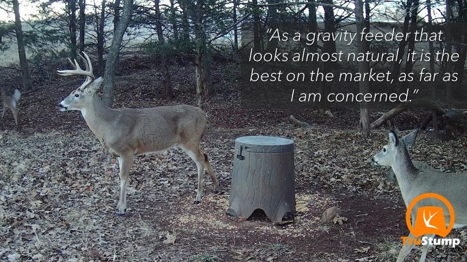 deer feeding information