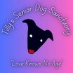 Tilly's Senior Dog Sanctuary