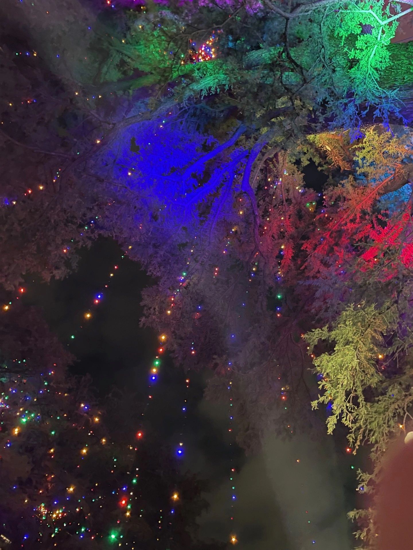 Antone's Ink And Tattoo Supply