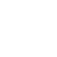 Savvy Associates TikTok Live Creator Agency