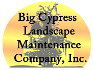 Big Cypress Landscape Maintenance Company