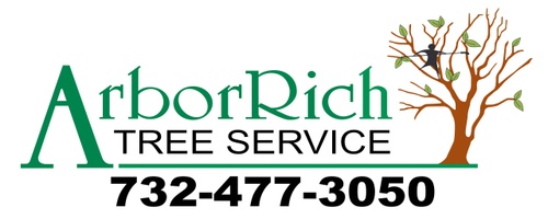 Arbor Rich Tree Service
