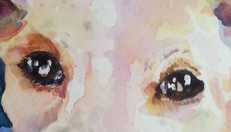 eye detail watercolor pet portrait