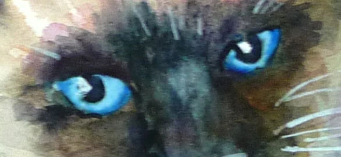 eye detail watercolor cat portrait eye detail watercolor cat portrait
