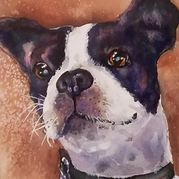 Watercolor Paintings of homes, businesses, pets