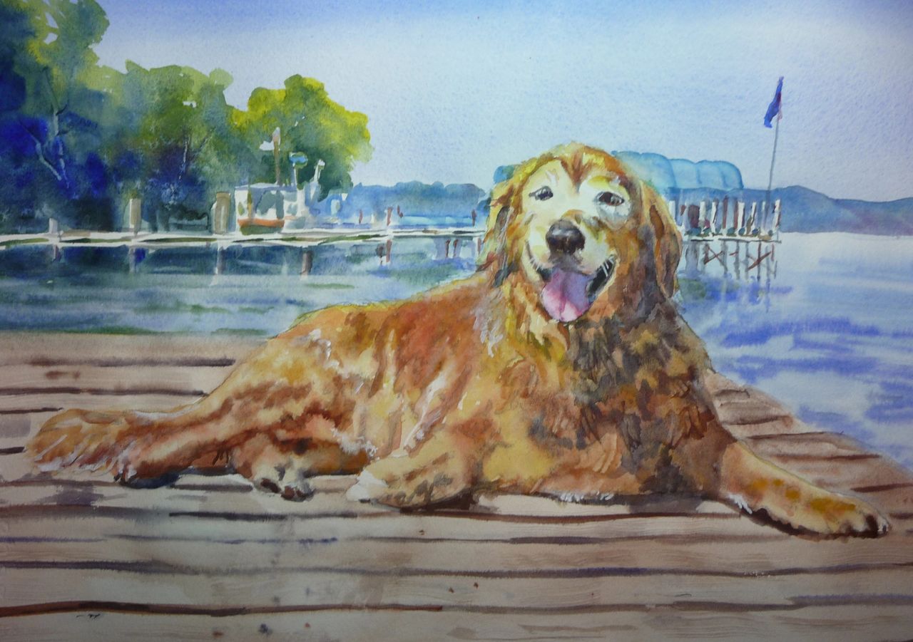 Dog Portrait Dog Portrait