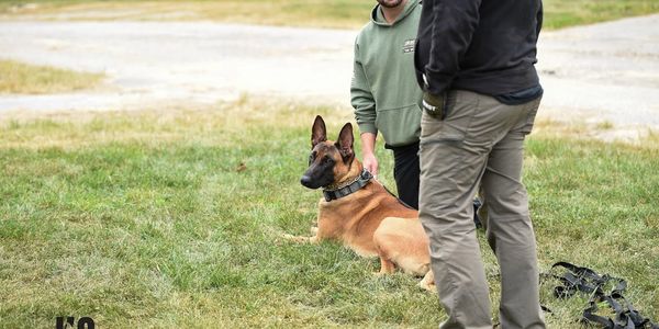 Wisconsin dual purpose Police K9