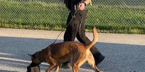 Portage County Sheriff Department dual purpose K9 Hector