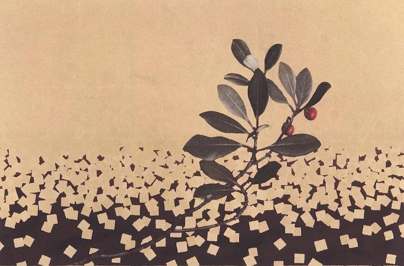 A branch with leaves and red berries above a pattern of scattered squares.