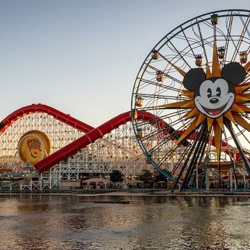 Disney roller coaster
