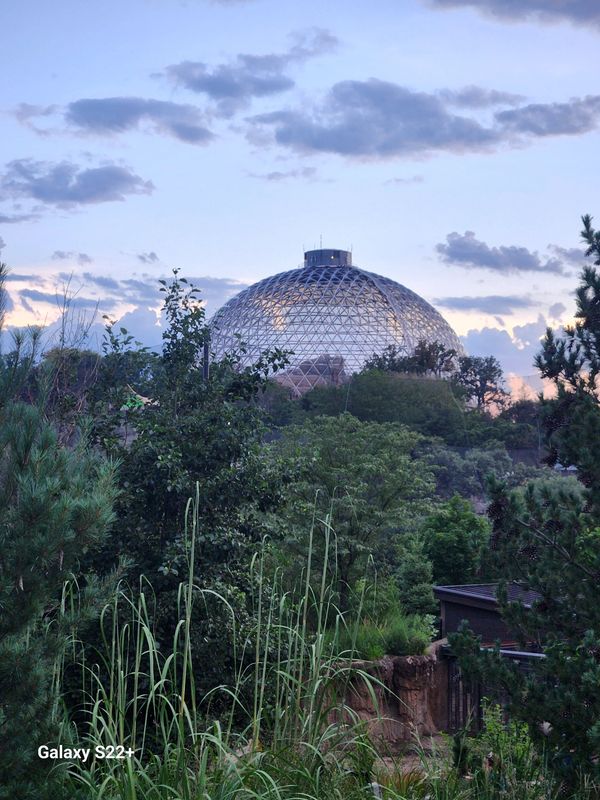 Henry Doorly Zoo