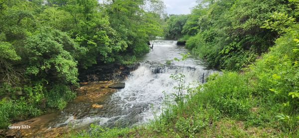 Iowa has waterfalls