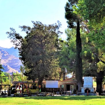 Grassy tent area, porch swing, outdoor theater, outdoor brick pizza oven, general store