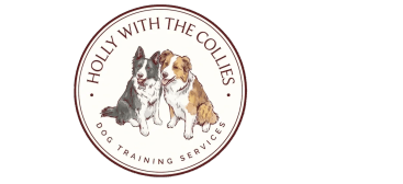 Holly with the Collies

Dog Services