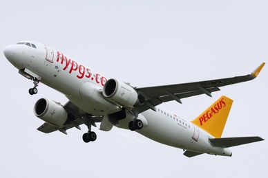 Pegasus Airlines airplane in flight with landing gear deployed.